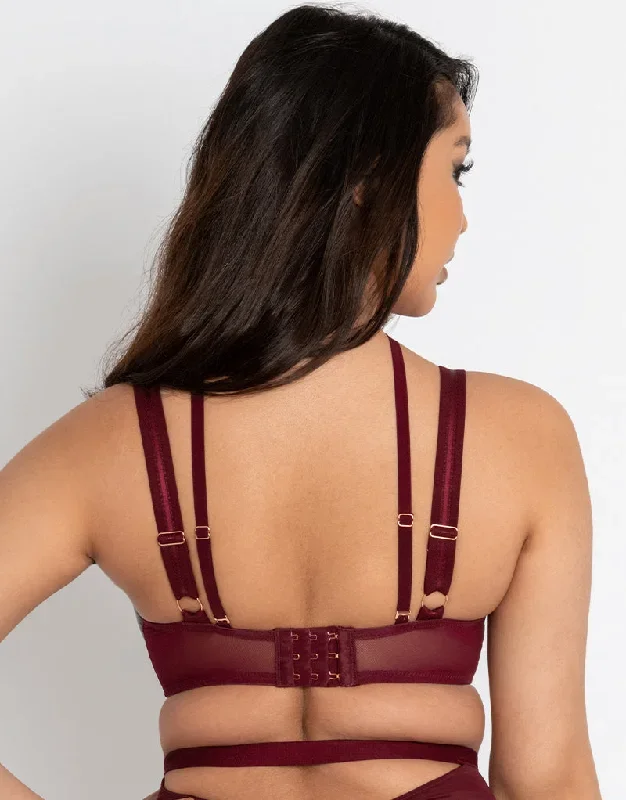 scantilly-buckle-up-padded-half-cup-bra-oxblood